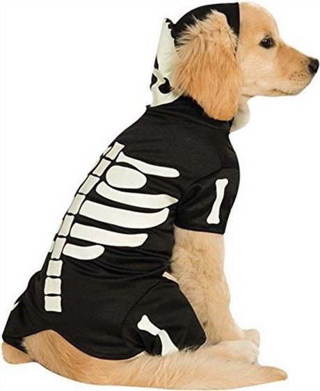 Halloween honden kostuum